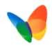 MSN butterfly